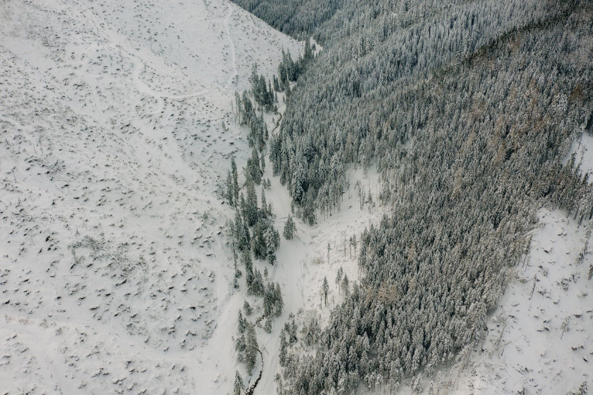 Wesele w stylu boho Rezydencja Gubałówka Zakopane 1 01 01december 30 2019