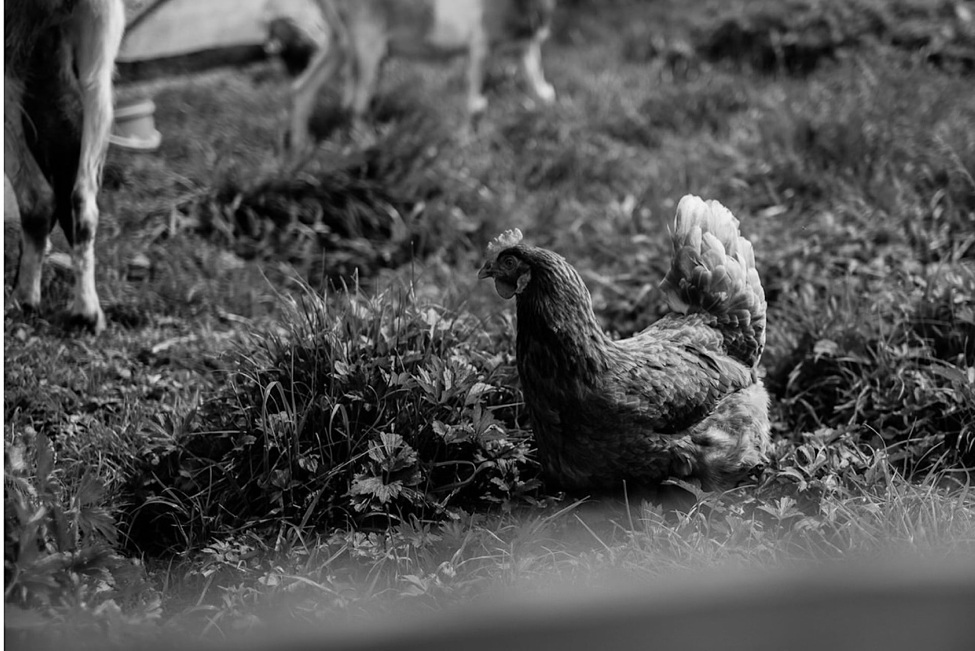 1december 06 2019 73