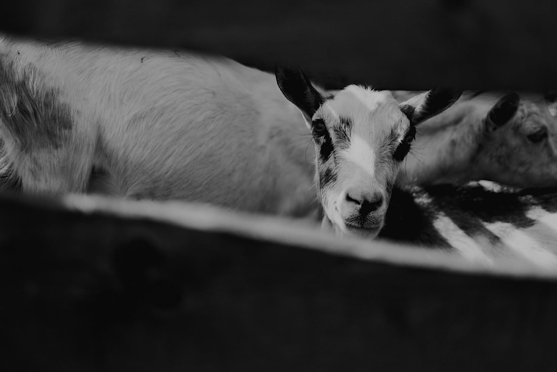 1december 06 2019 91