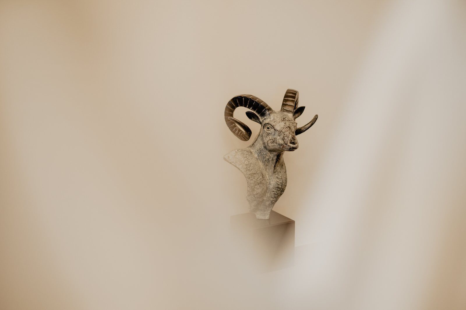 anna thomas 22 12 2018 132