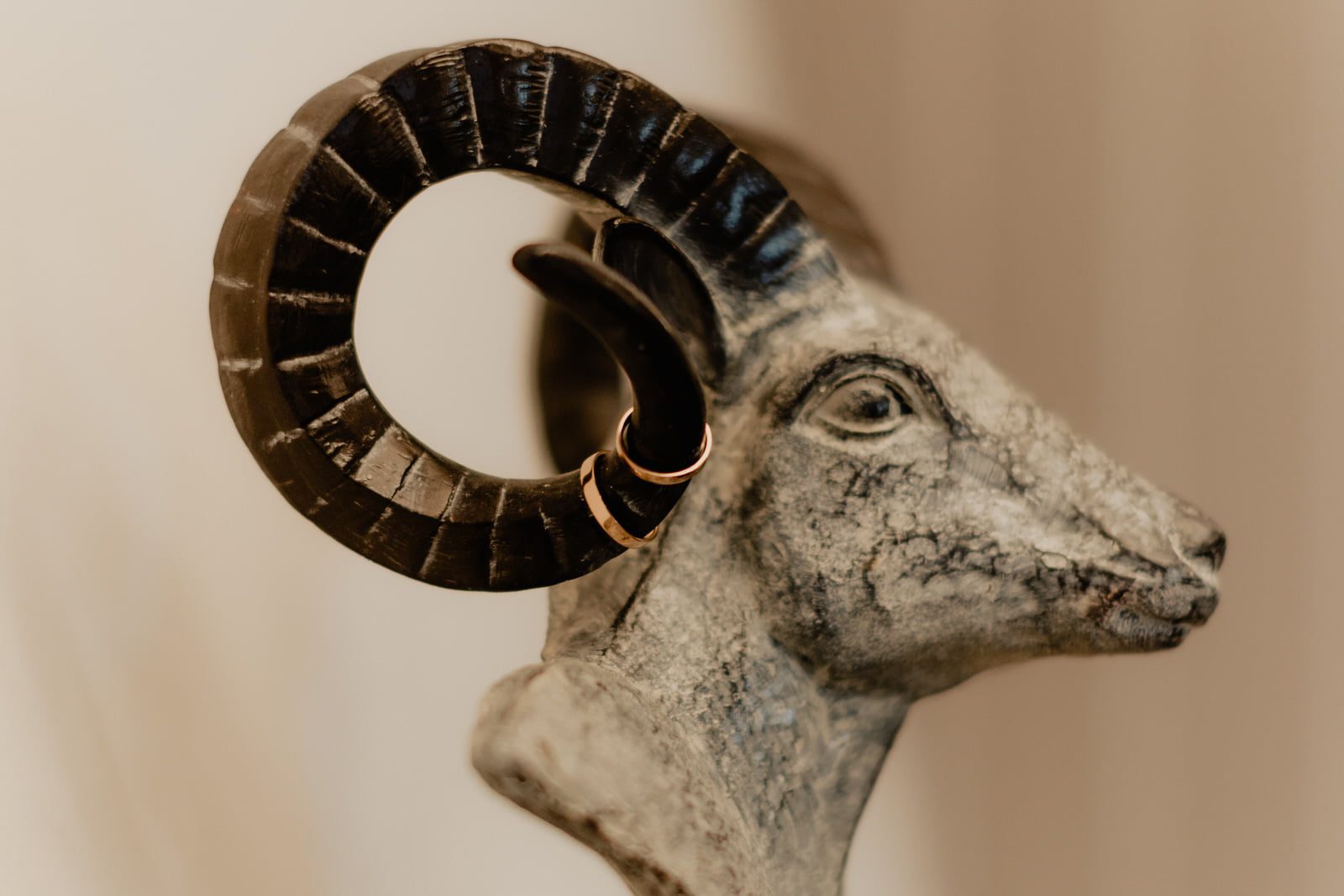 anna thomas 22 12 2018 134