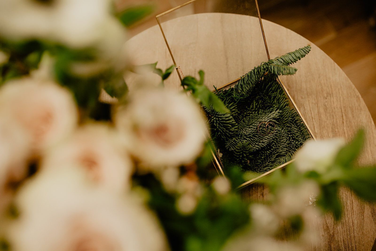 anna thomas 22 12 2018 97