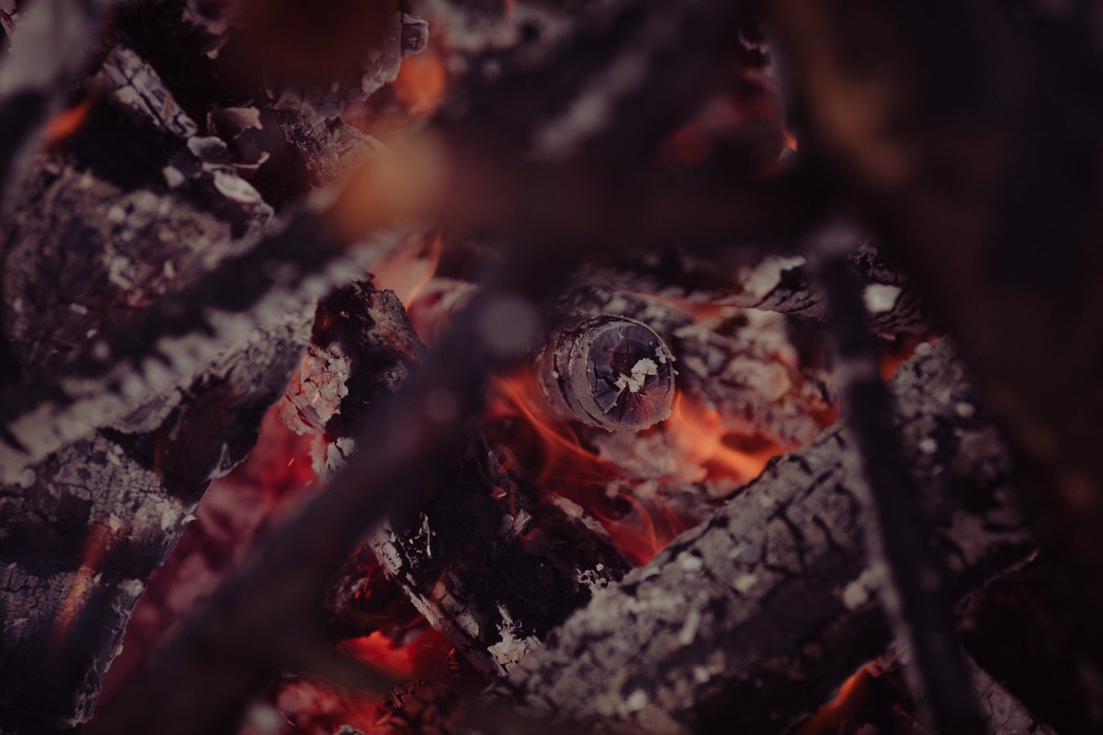 gw narz 07 02 2018 129