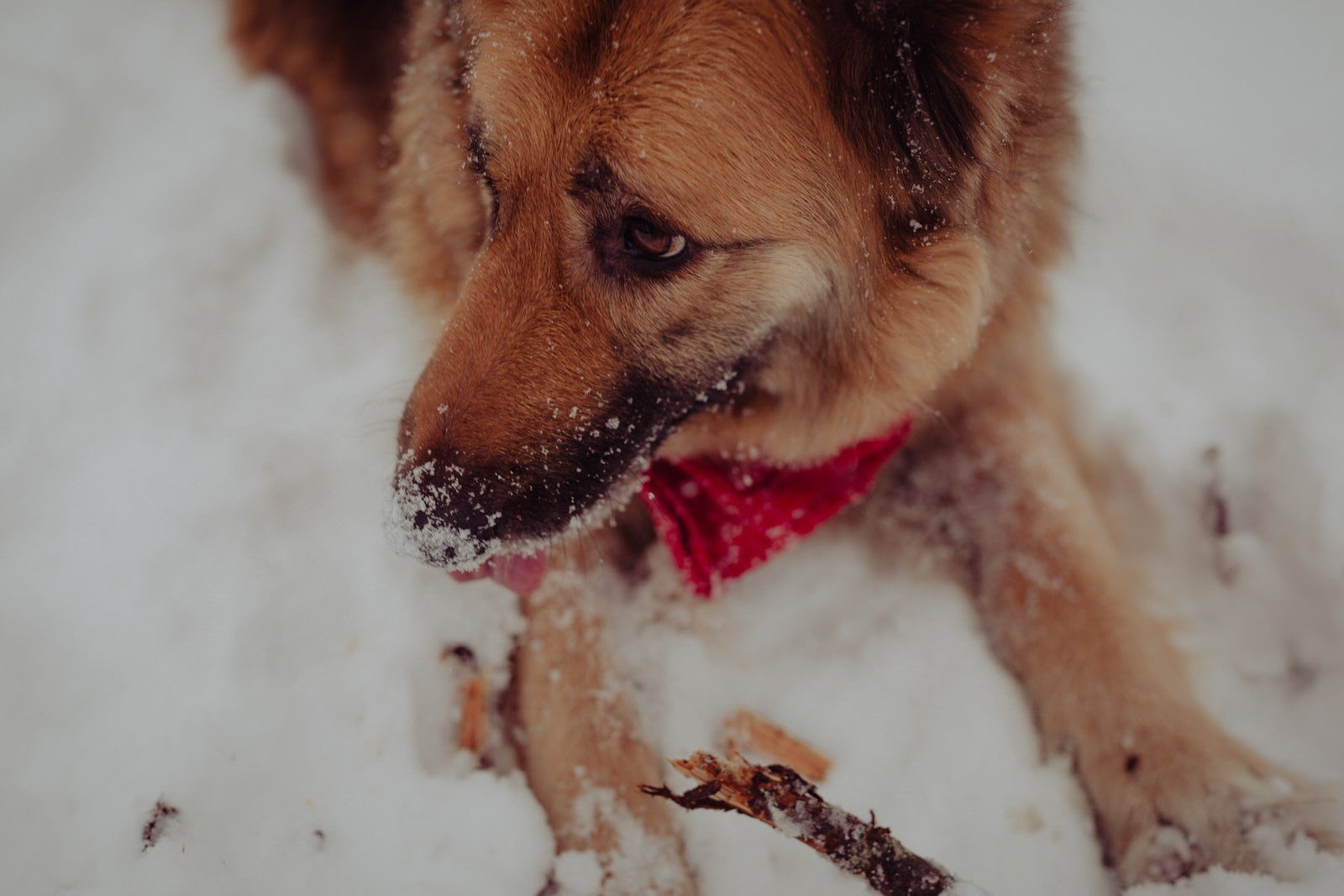 gw narz 07 02 2018 14