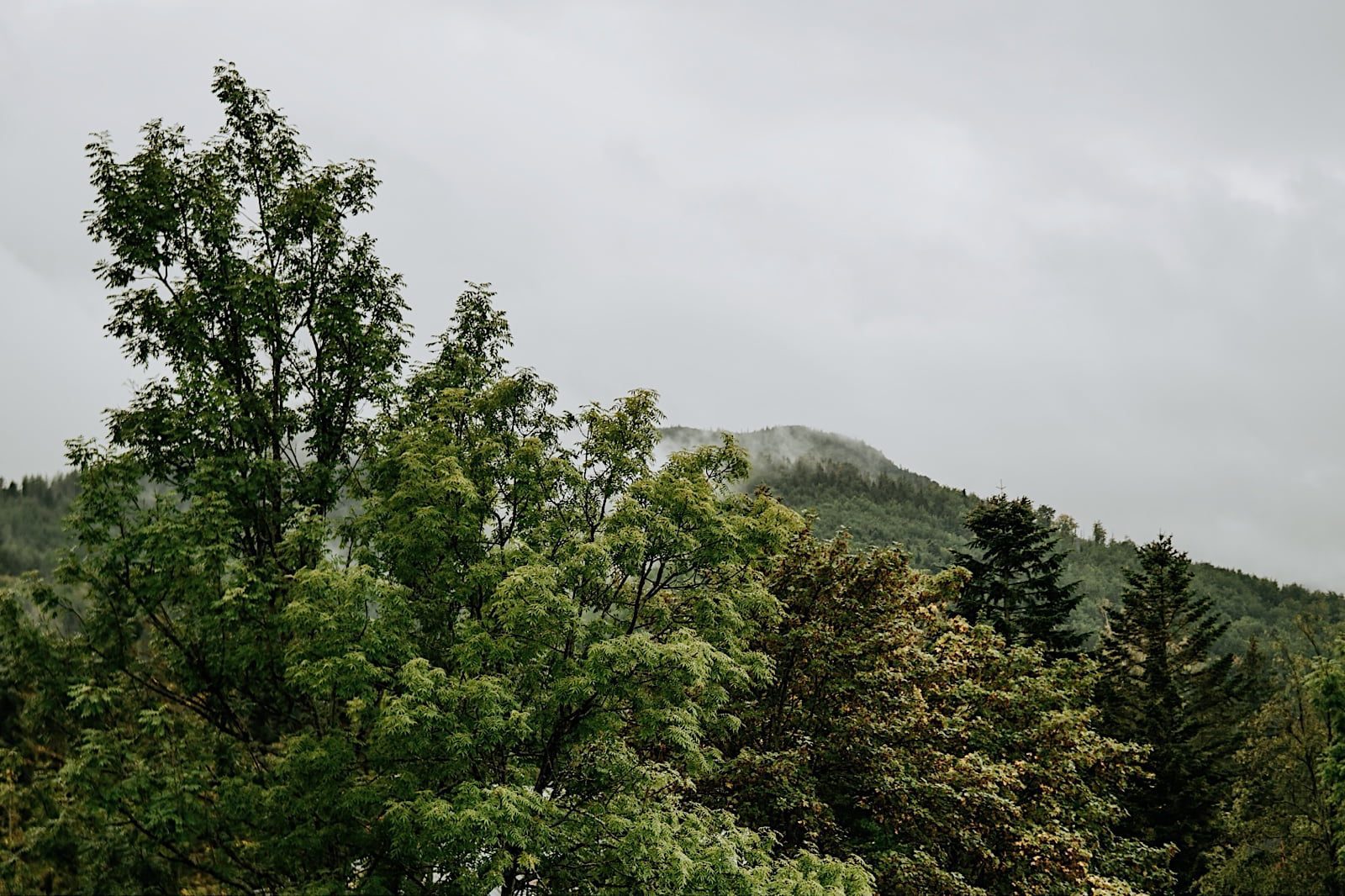 Hotel Belvedere Zakopane Wesele