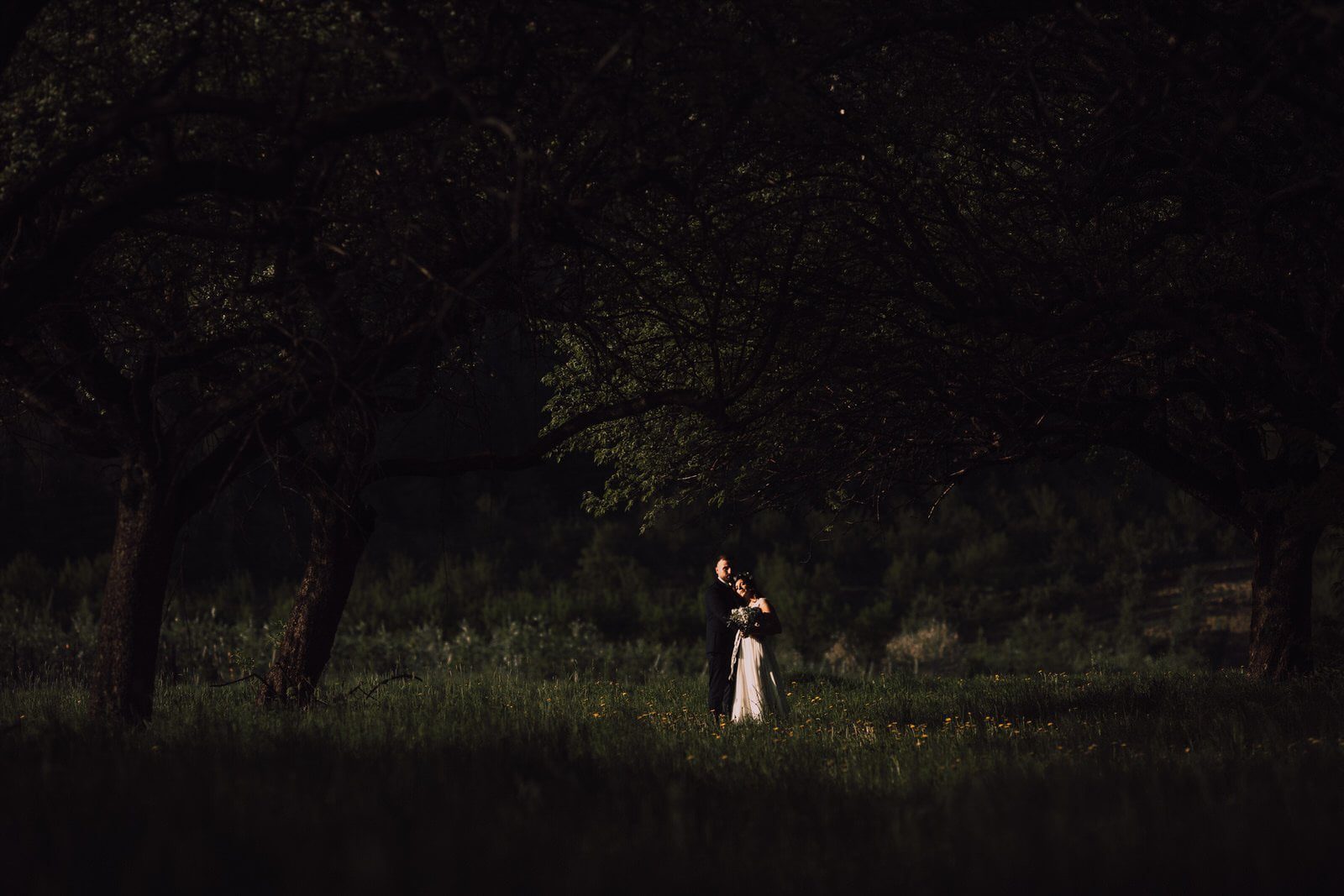 sesja ślubna plener