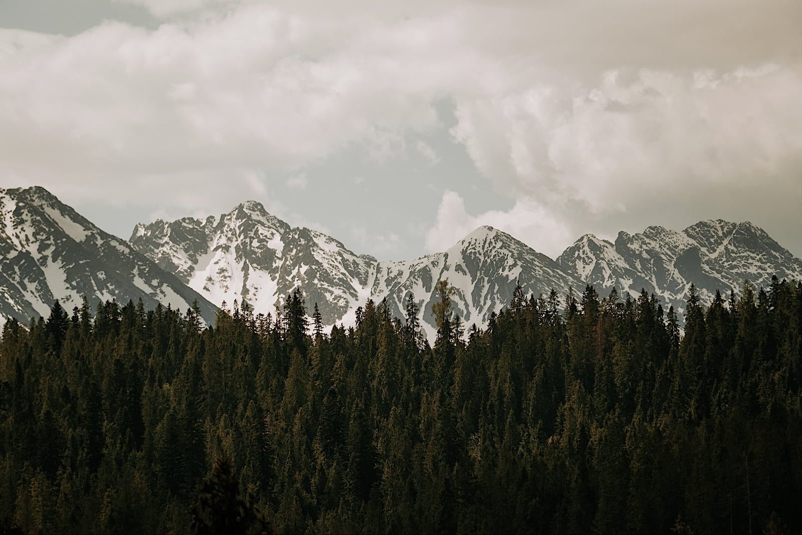 01 kameralny slub w gorach 172