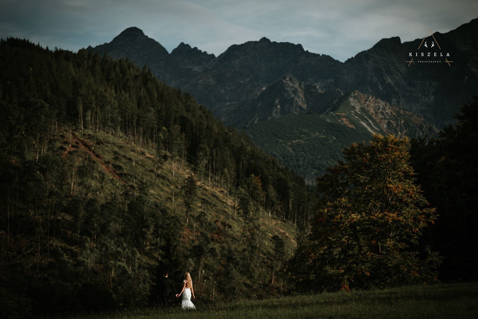 sesja ślubna w lesie