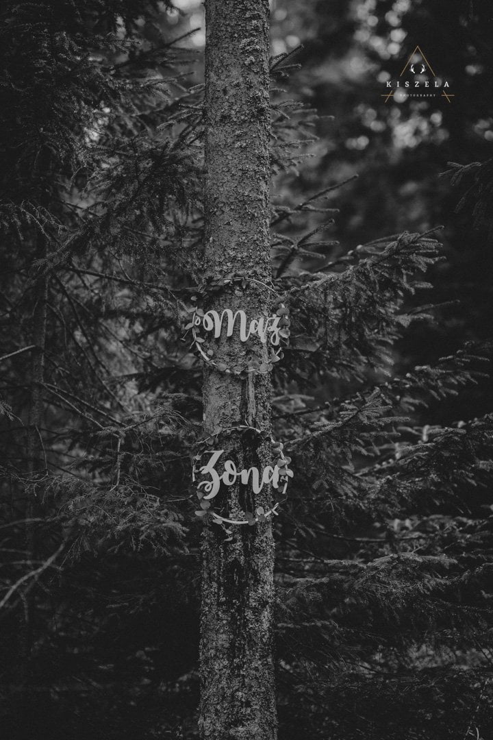 sesja ślubna w lesie