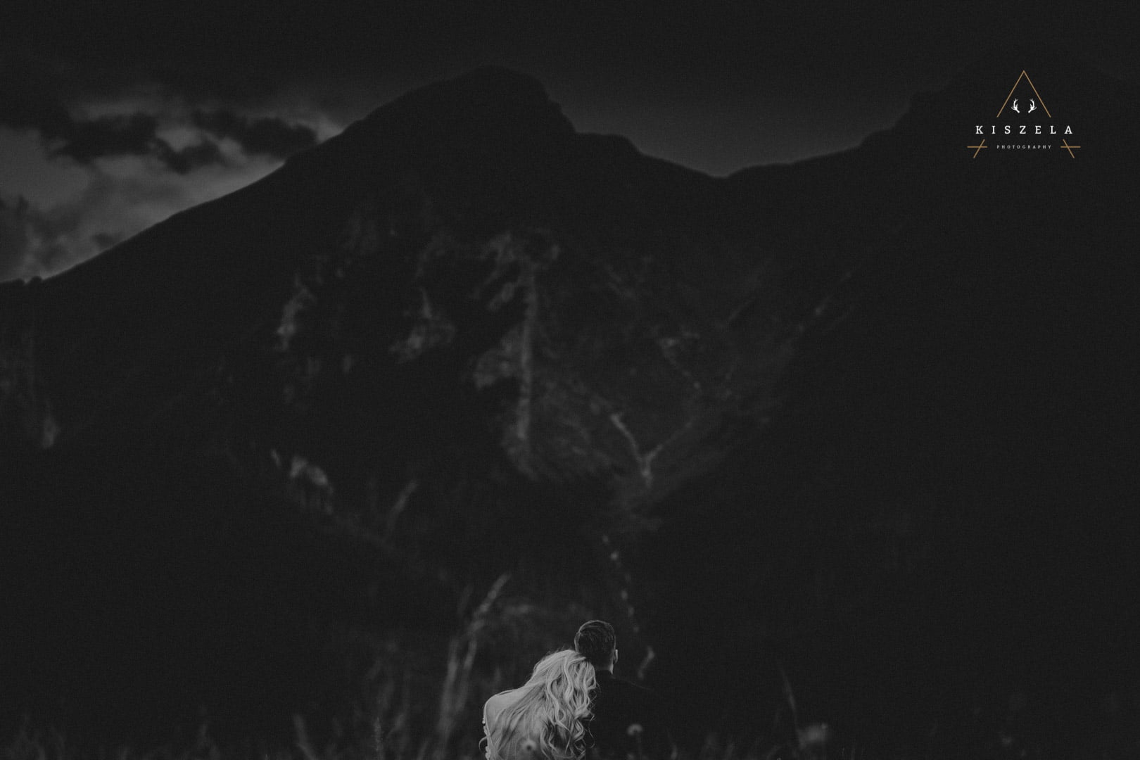 sesja ślubna w lesie