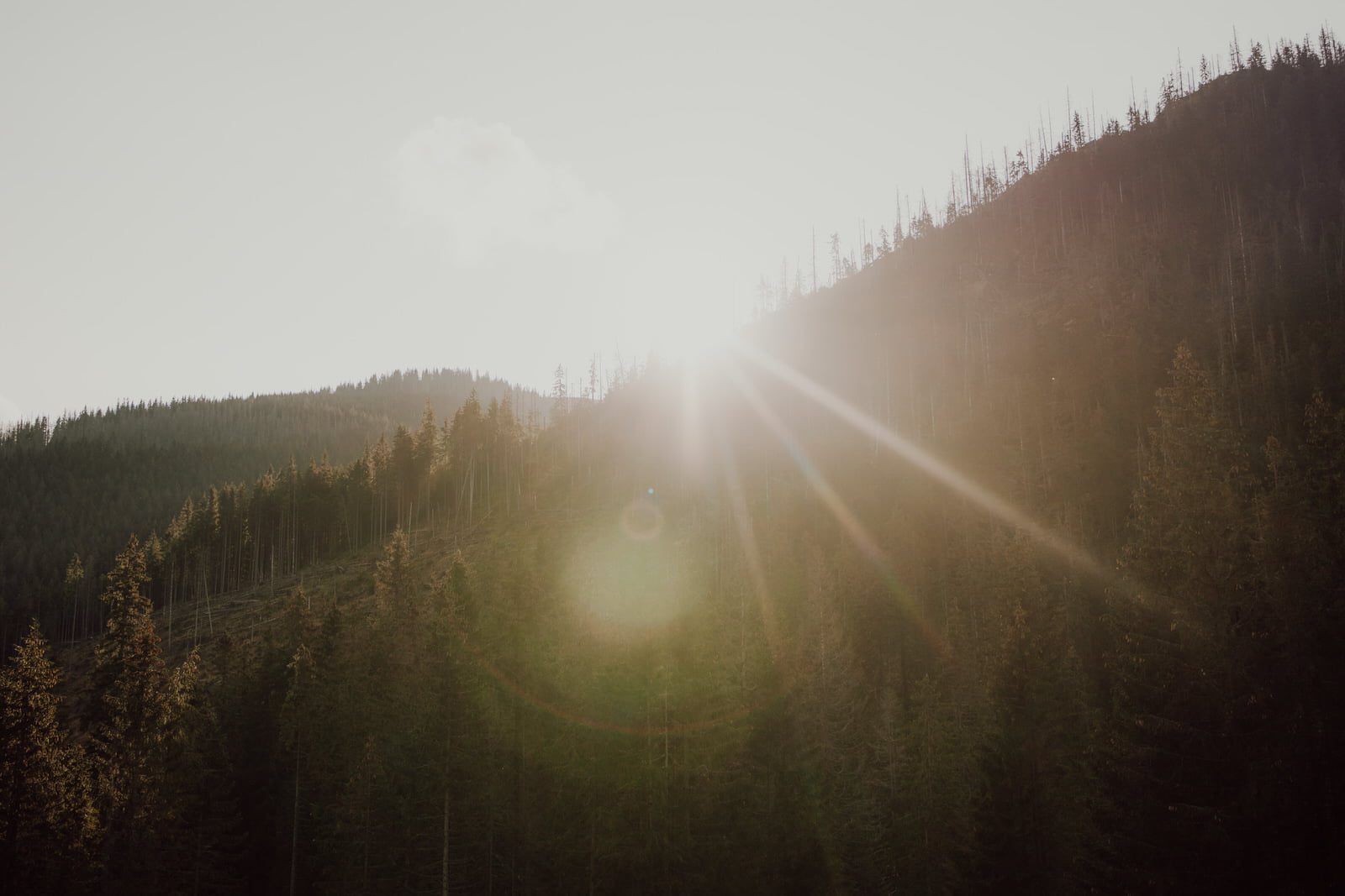 sesje plenerowe zakopane4