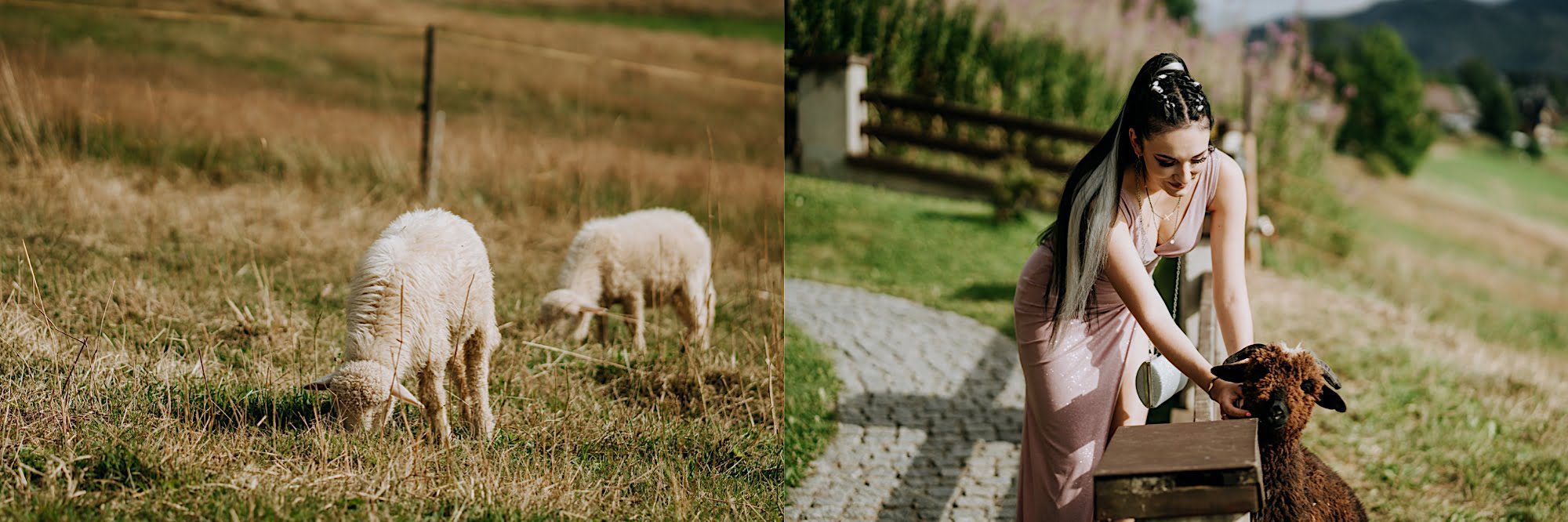 45_A7V06623_A7V06611 45 45 A7V06623 A7V06611