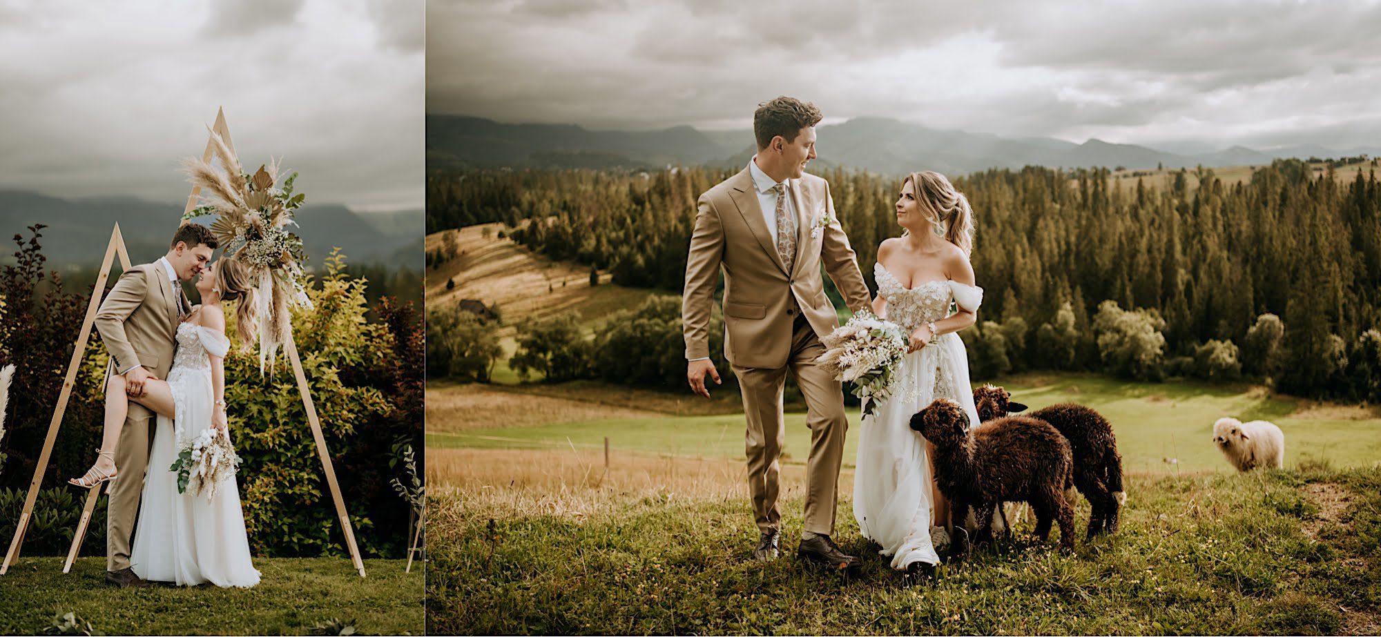 46_A7V06872_A7V06644 46 46 A7V06872 A7V06644