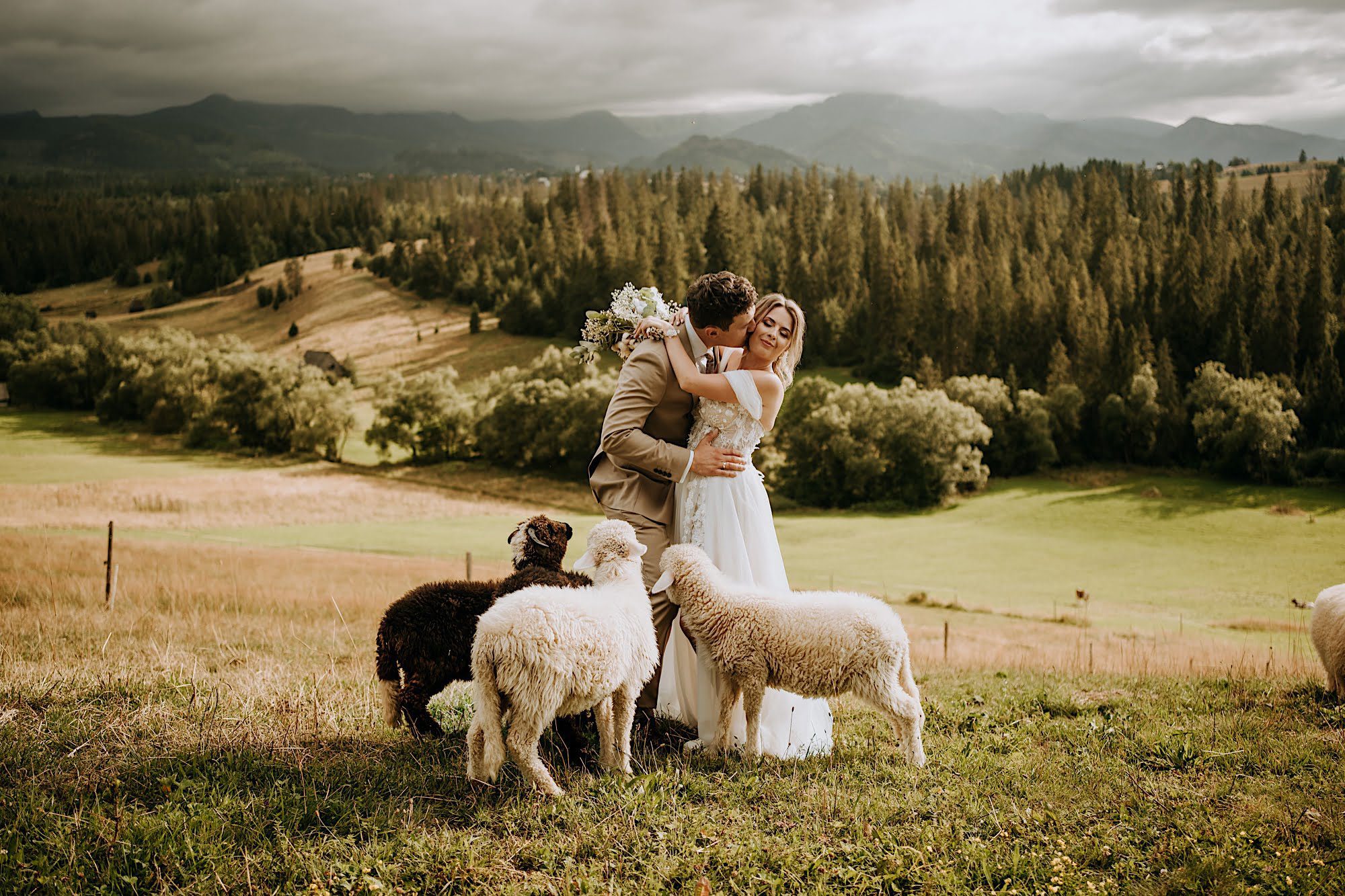 48_A7V06893 48 48 A7V06893