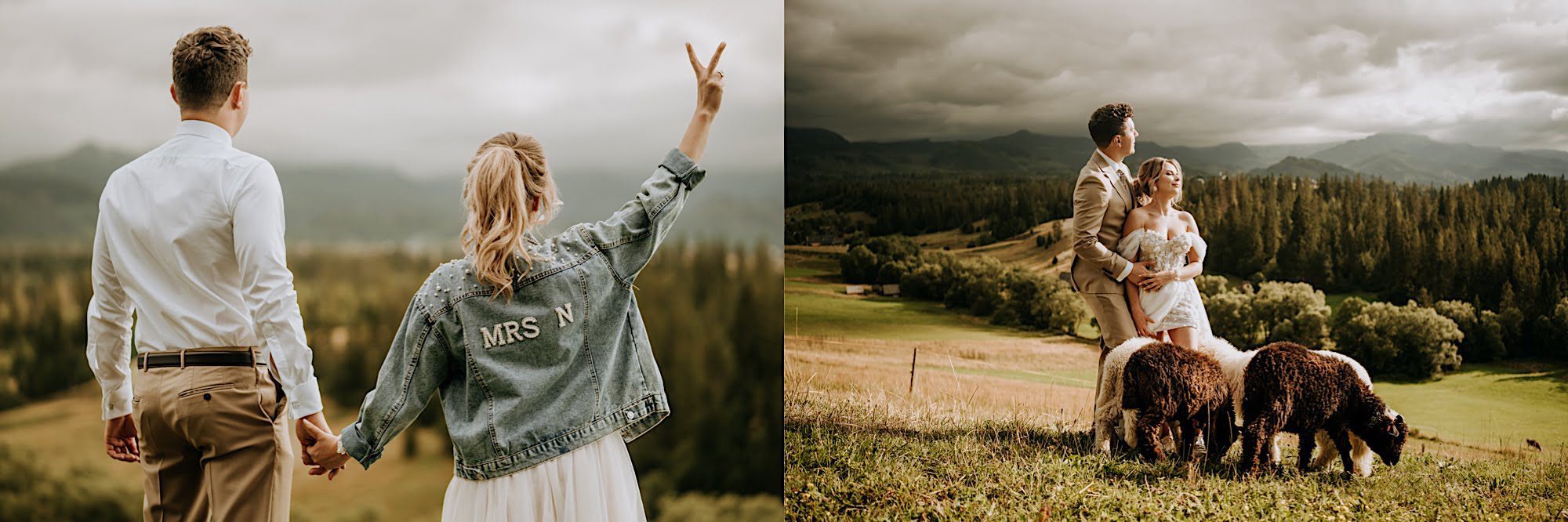 51_A7V06862_A7V06942 51 51 A7V06862 A7V06942