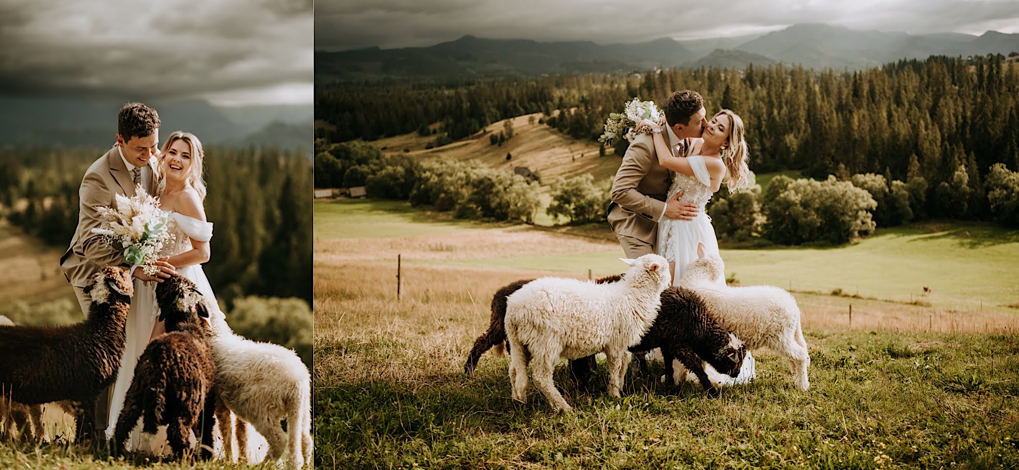 54_A7V06698_A7V06909 54 54 A7V06698 A7V06909